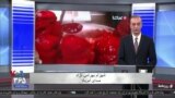 روی خط: حال و هوای شما در طولانی‌ترین شب سال