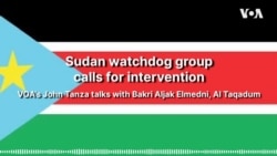 Sudan watchdog group calls for intervention