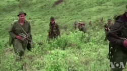 Etazini anonse y ap retire ansyen group rebèl kolonbyen FARC sou lis òganizasyon teworis