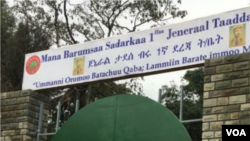 Manni Barnoota Janaraal Taaddasaa Birruu