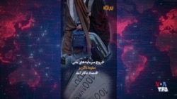  نیم‌نگاه - شنبه ۱۱ بهمن