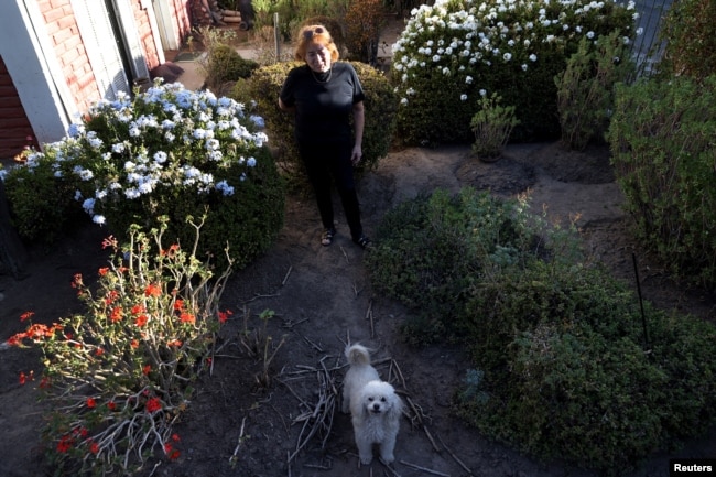 A woman stands in her property with native plants better equipped to grow in a drier environment in a wealthy neighborhood of Santiago on April 14, 2022. (REUTERS/Ivan Alvarado)