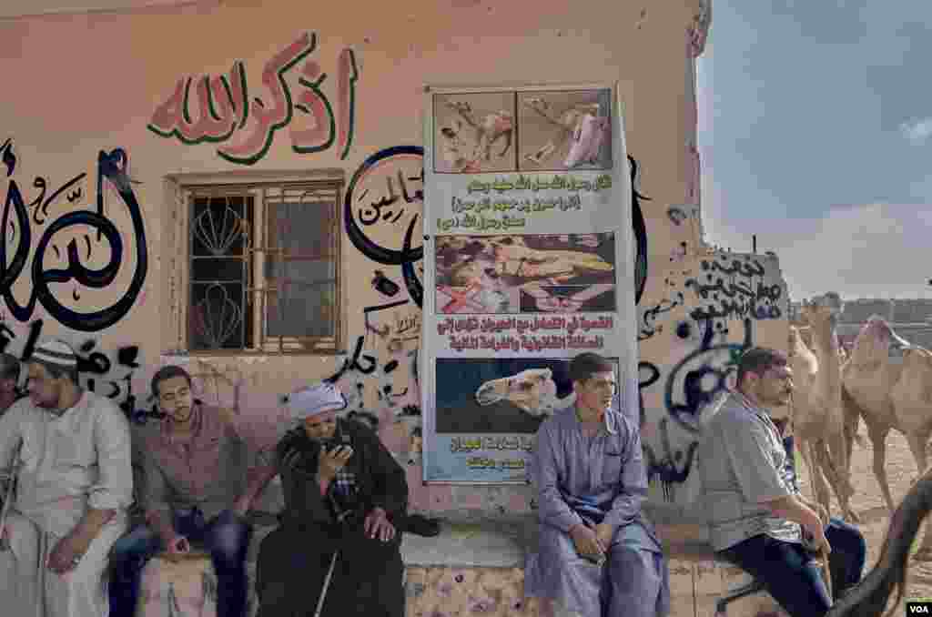 Camel herders at the market sit below a poster warning against mistreatment of the animals. Some of the vendors, in response to growing criticism on social media, insist not all herders and sellers are the same. (VOA/H. Elrasam)