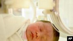 นักวิจัยพบว่าทารกแรกเกิดที่มีระดับวิตามินดีในร่างกายต่ำ เสี่ยงต่อการติดเชื้อในระบบทางเดินหายใจ