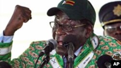 Zimbabwean President Robert Mugabe addresses his supporters at the party's conference in Mutare, east of Harare, 17 Dec 2010