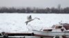 Labud iznad marine na zaleđenom rukavcu Dunava u Zemunu, kraj Beograda (AP Photo/Darko Vojinovic)