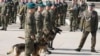 Poland thanks military dogs for their service, giving them army ranks