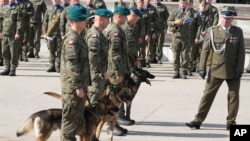 Polish army dogs and their handlers are seen during a ceremony in Nowy Dwor Mazowiecki, Poland, Sept. 6, 2024. 