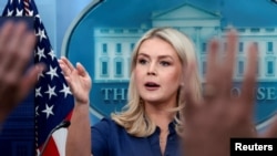 کارولین لیویت، سخنگوی کاخ سفید