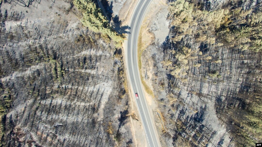 Aerial view taken with a drone of a forest devastated by fire near La Florida, Bio Bio region , some 420 km south of Santiago, Jan. 29, 2017. 