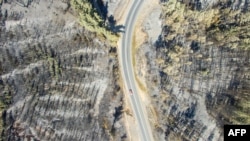 Aerial view taken with a drone of a forest devastated by fire near La Florida, Bio Bio region , some 420 km south of Santiago, Jan. 29, 2017. 