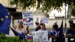 Brexit opponents wave flags and hold signs near the Houses of Parliament in central London, England, Aug. 28, 2019.