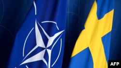 İsveç, NATO üyesi olmak için Türkiye ve Macaristan'ın onayını bekliyor