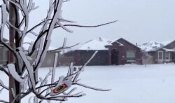 Tormenta invernal azota partes de Texas, dejando sin electricidad sitios del Estado. Captura de pantalla de video de Reuters, el 15 de febrero de 2021.