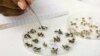 A laboratory assistant sorts out fruit flies at the International Atomic Energy Agency (IAEA) laboratories in Seibersdorf, Austria, Oct. 14, 2009. Fruit flies are a good place to begin to study how microbes affect complex behaviors like food choices. 