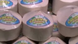 فواید نارگیل، از تغذیه تا زیبایی