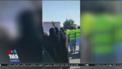 اخبار شامگاهی