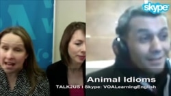 TALK2US: Animal Idioms