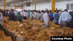 Fodya yatengeswa pamisika inonzi yakawanda kudarika yegore rapera iyo yaive makirogiramu mamiriyoni zana nemakumi matanhatu nematanhatu