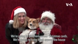 Santa Pictures with Doggies