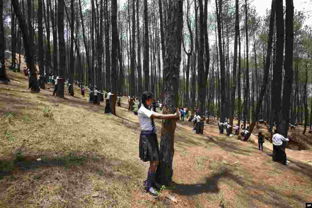 Nepalese students hug trees during a mass tree hugging event on the World Environment Day on the outskirts of Katmandu.