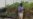 Researchers: Africa Genetically Modified Crops Held Back by Scaremongering