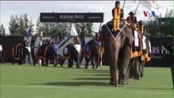 Độc đáo môn polo cưỡi voi ở Thái Lan
