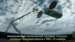 Прибытие Сигнуса