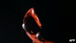 Tradicionalni vijetnamski instrument