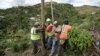 Puerto Ricans Grab Machetes, Shovels to Help Restore Power