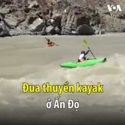 Đua thuyền kayak ở Ấn Độ