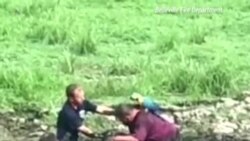 Спастись с попугаем