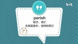 学个词-perish