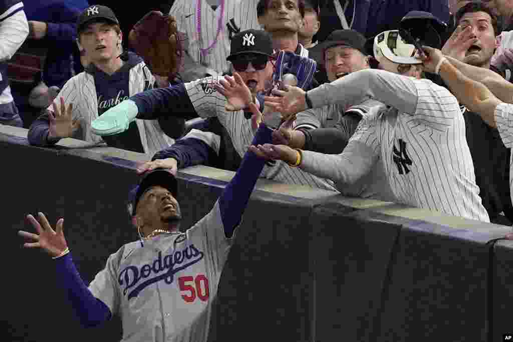 Fans interfere with a foul ball caught by Los Angeles Dodgers right fielder Mookie Betts during the first inning in Game 4 of the baseball World Series against the New York Yankees, in New York, Oct. 29, 2024.