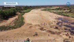 Kuraklığın Vurduğu Madagaskar’da Halk Sefalet İçinde