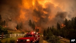 Firefighters battle the Tamarack Fire in the Markleeville community of Alpine County, California, July 17, 2021.
