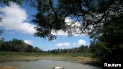 Warga terlihat di daerah Gunungkidul, Yogyakarta. 