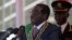 Zimbabwe's President Robert Mugabe addresses supporters during celebrations to mark the country's Defense Forces Day, in the capital Harare, Aug. 13, 2013.