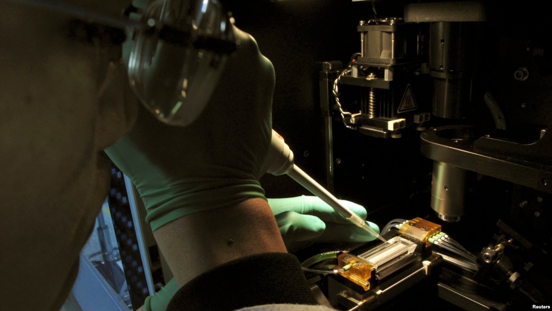 FILE - A researcher injects DNA material onto a laboratory dish.