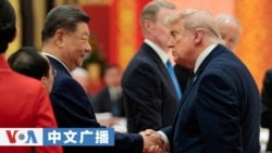 美国之音中文广播 (2026年5月15日)