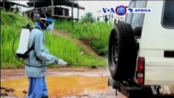 Manchetes Africanas 13 Julho 2015