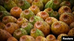 Prickly pears are displayed for sale at a stall in Beirut, Lebanon, July 22, 2014. A dozen prickly pears are sold for approximately $4 in the Lebanese market.