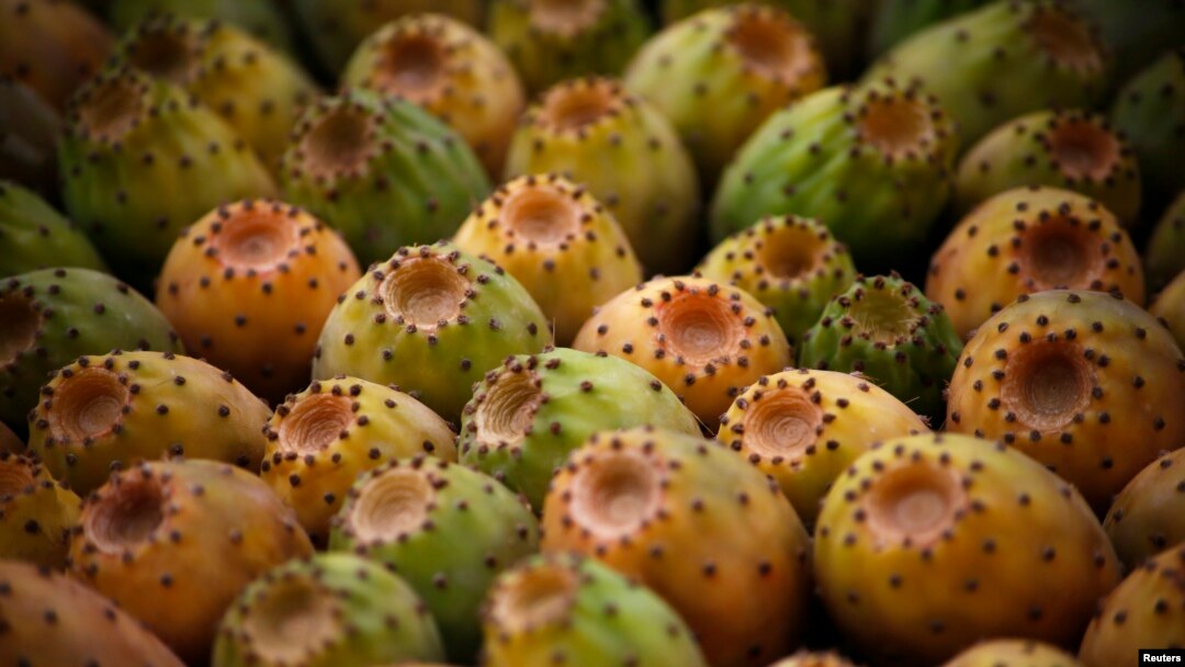 Prickly pears are displayed for sale at a stall in Beirut, Lebanon, July 22, 2014. A dozen prickly pears are sold for approximately $4 in the Lebanese market.