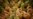 Chemical Extracts from Mediterranean Plants May Help Brain Diseases