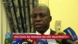 Maoni tofauti yazuka baada ya Kuahirishwa mkutano wa viongozi wa Rwanda na DRC