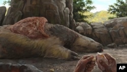 Esta ilustración facilitada por investigadores muestra a una persona tallando un osteodermo de un perezoso gigante en Brasil, hace entre 25.000 y 27.000 años 