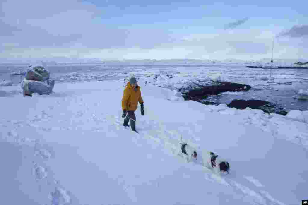 A woman walks with her dogs on a beach in Nuuk, Greenland, March 4, 2025.