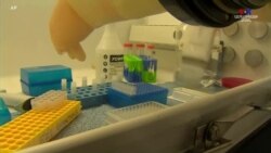 Հարցում. Ամերիկացիների 49 տոկոսը համաձայն է պատվաստվել COVID-19 դեմ