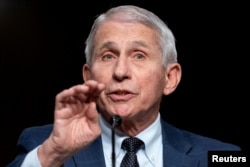 FILE - Dr. Anthony Fauci will speak in May at Princeton University's graduation. (Greg Nash/Pool via REUTERS/File Photo)