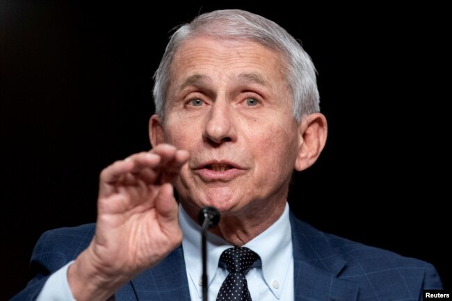 FILE - Dr. Anthony Fauci will speak in May at Princeton University's graduation. (Greg Nash/Pool via REUTERS/File Photo)